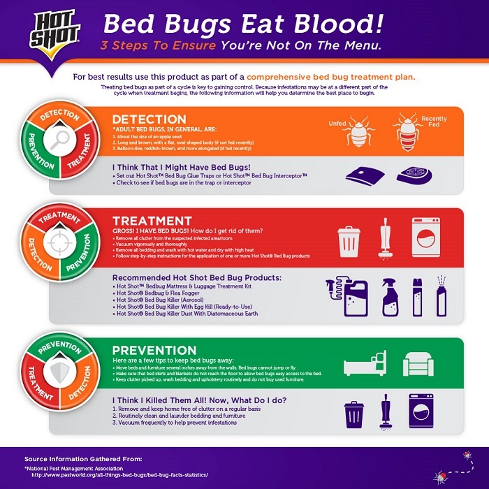 How do you clean a house after bombing for bed bugs?